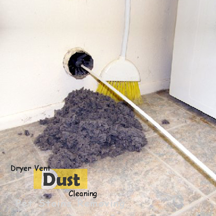 Dryer Dust Removing